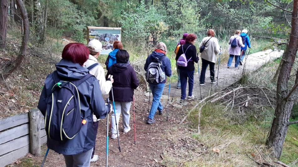 Hit mezi plzeňskými seniory? Nordic walking