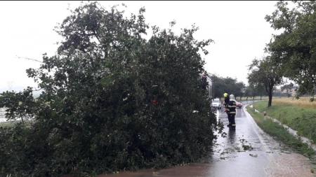 Vítr působil škody i v Plzeňském kraji