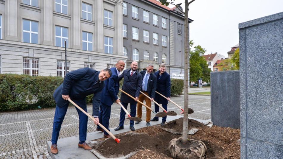 Kvůli vandalům strom uhynul. Náměstí T. G. Masaryka teď zdobí nová lípa