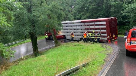 V serpentinách na severu Plzeňska havarovalo auto převážející telata. Silnice je uzavřena!