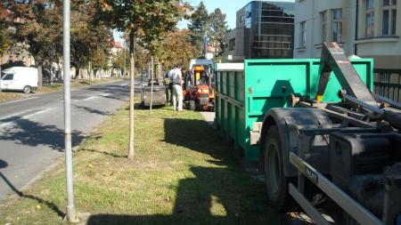 Obyvatelé centrálního obvodu si stěžovali na vysokou trávu. Důvodem jsou klimatické podmínky