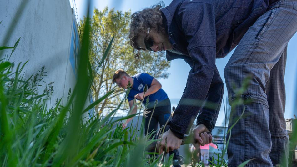 Brigád v Plzeňském kraji je méně než před covidem, zájem studentů zůstává stejný