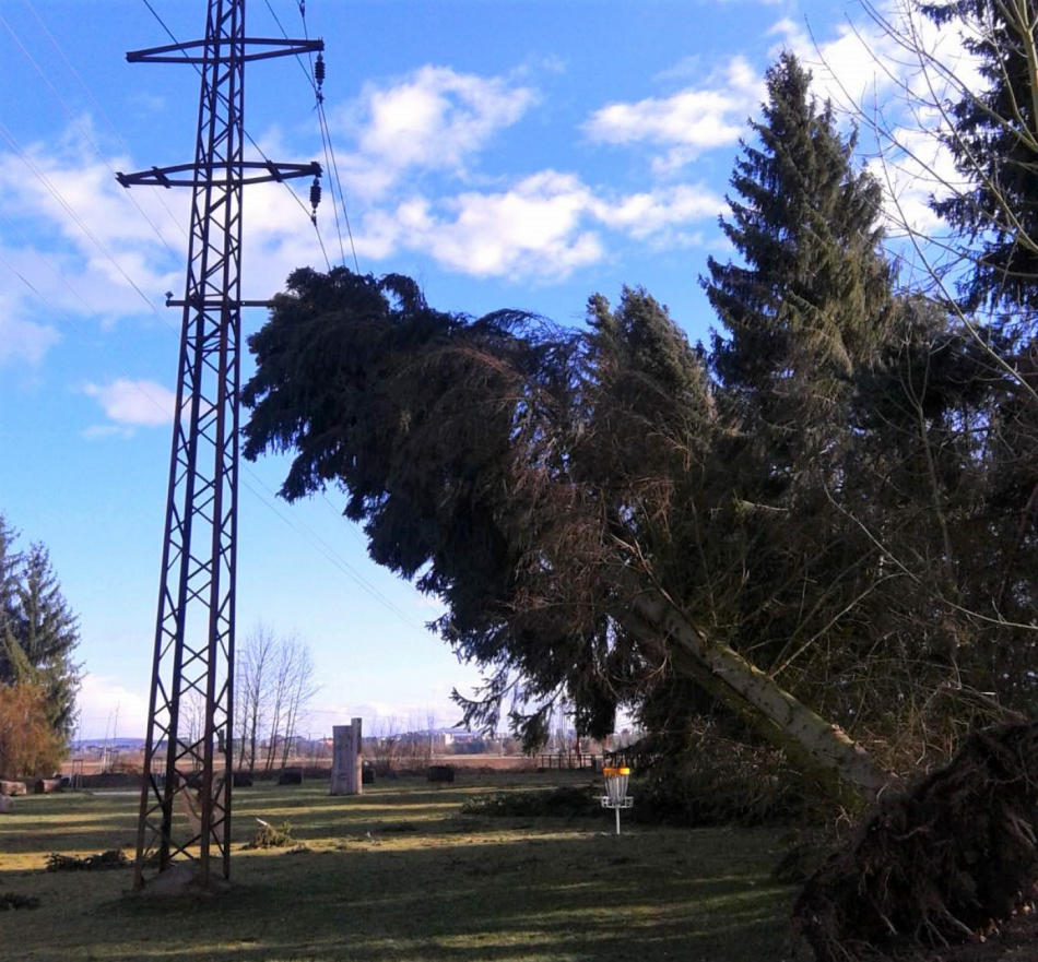 Bouře Sabine napáchala energetikům škody za 25 milionů korun