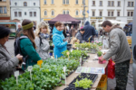 Farmářské trhy Plzeň