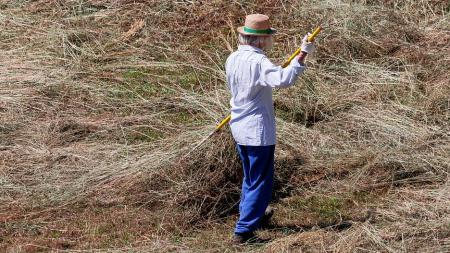 Farmáři v Plzeňském kraji sklidili dost sena, vedra první seče neovlivnila