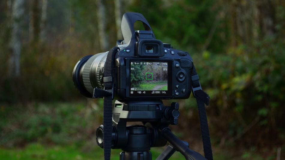 Lázeňské lesy Karlovy Vary připravily pro veřejnost fotografickou soutěž