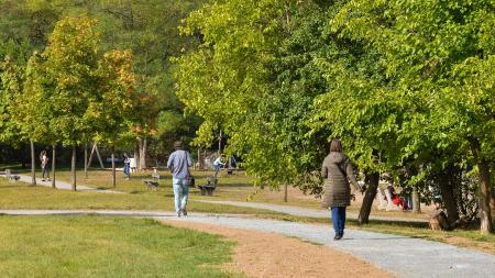 Špitálský les prošel proměnou. Na návštěvníky čekají nové cesty, promenáda s lavičkami a vybavení dětského hřiště