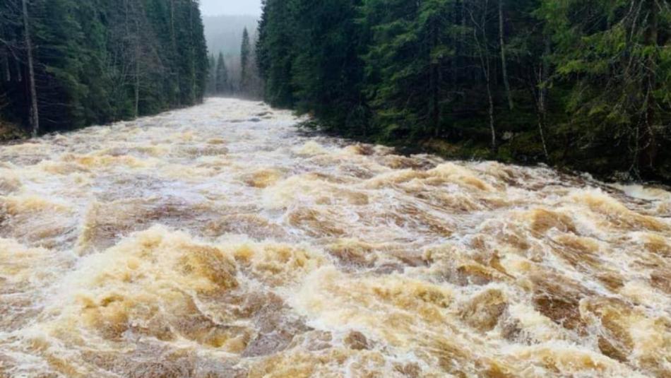 Meteorologové rozšířili výstrahu. Bouřky v Plzeňském kraji mohou zvedat hladiny vodních toků