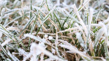 Jasná obloha, ale mrazy. Meteorologové upřesnili předpověď na nejbližší dny