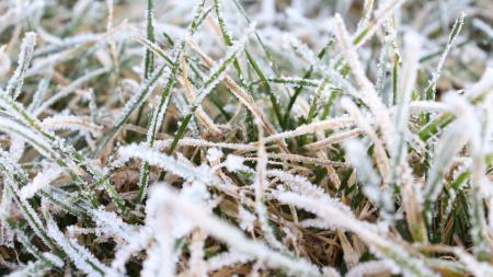 Chladno, ale bez přeháněk. Meteorologové odhalili předpověď na další týdny