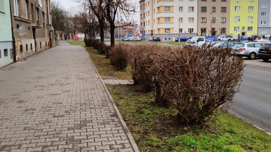 Vegetační klid využila Trojka k úpravě keřů na Borech a ve Skvrňanech