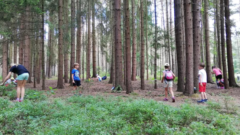 Náklady rostou, plzeňský první obvod zvýšil příspěvek na příměstské tábory pro své děti