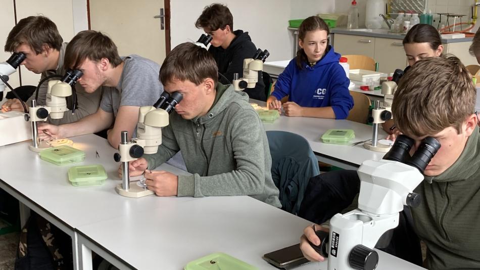 Studenti domažlického gymnázia přivezli zlatou a bronzovou medaili z  mezinárodních olympiád