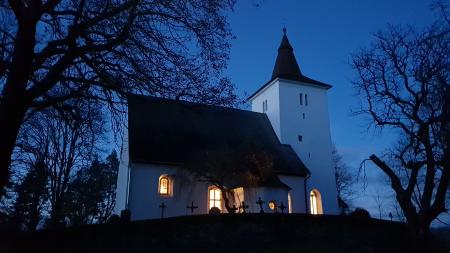 Mouřenec o prázdninách žije kulturou