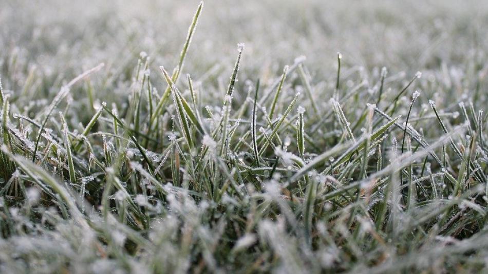 Vánoce na sněhu? Meteorologové už zveřejnili předpověď