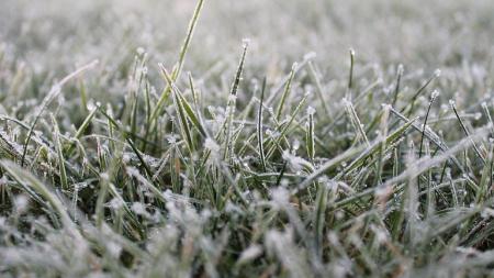 Meteorologové varují: Hrozí mrazy a náledí!