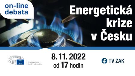 Jak se dostat z energetické krize? V on-line debatě diskutovali zajímaví hosté