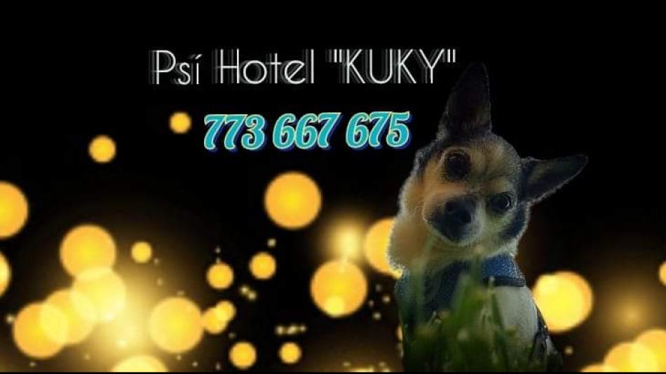 Psí Hotel Kuky: Kvalita a péče na prvním místě