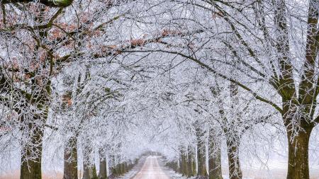 Meteorologové varují: V západních Čechách hrozí silné sněžení i povodně