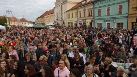 Největší městské slavnosti Setkání pod rokycanskou věží přivítají Michala Hrůzu i skupinu UDG