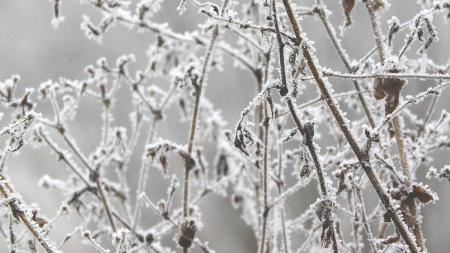 Zima se blíží, tvrdí meteorologové. Kdy se dočkáme sněhu a mrazů?