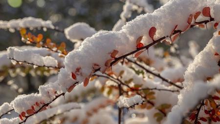 Meteorologové odhalili předpověď na listopad