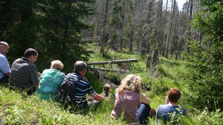 Divoká příroda NP Šumava loni lákala. Návštěvnost byla nižší, než v koronavirové době, ale vyšší, než před ní