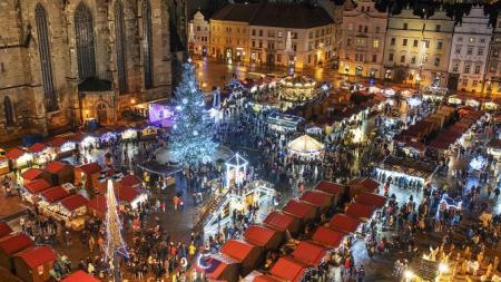 Plzeň hledá svůj vánoční strom