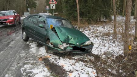 Řidička se po nehodě schovala v lese. Vypátral ji policejní pes