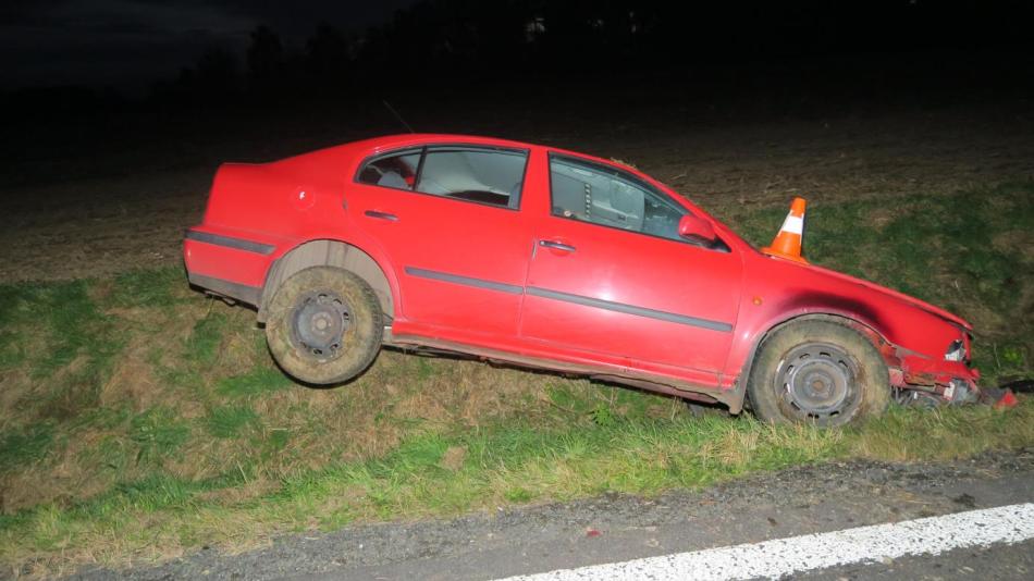 Nehodu způsobila moucha. Řidič se ji snažil zabít a vyjel mimo silnici