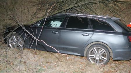 Volně pobíhající pes způsobil nehodu. Policisté hledají majitele