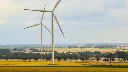 Lidé z Ptenína na jižním Plzeňsku v referendu odmítli výstavbu větrných elektráren